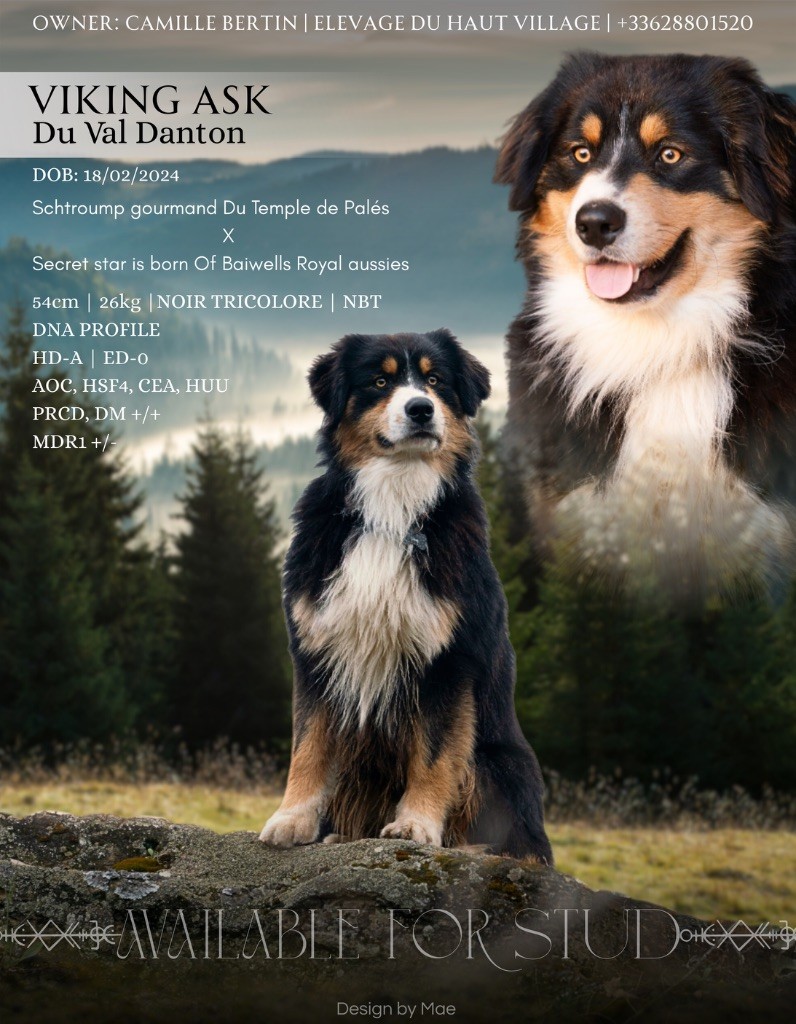 Viking ask du val danton